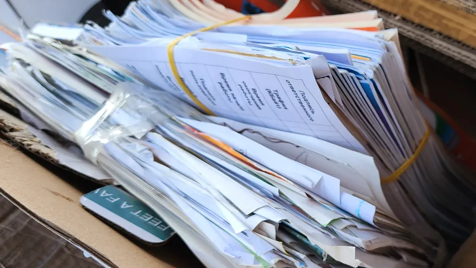 Фото: МедиаБанк Подмосковья/Марина Анисимова