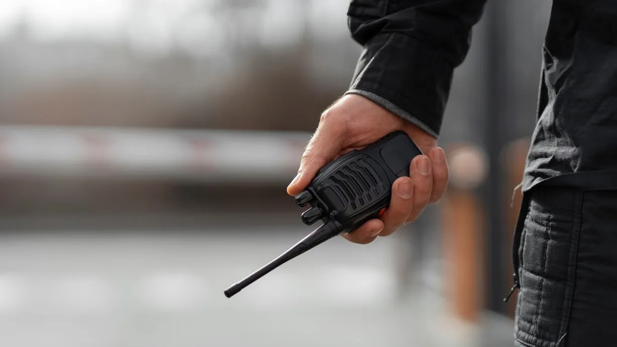 Фото: freepik.com