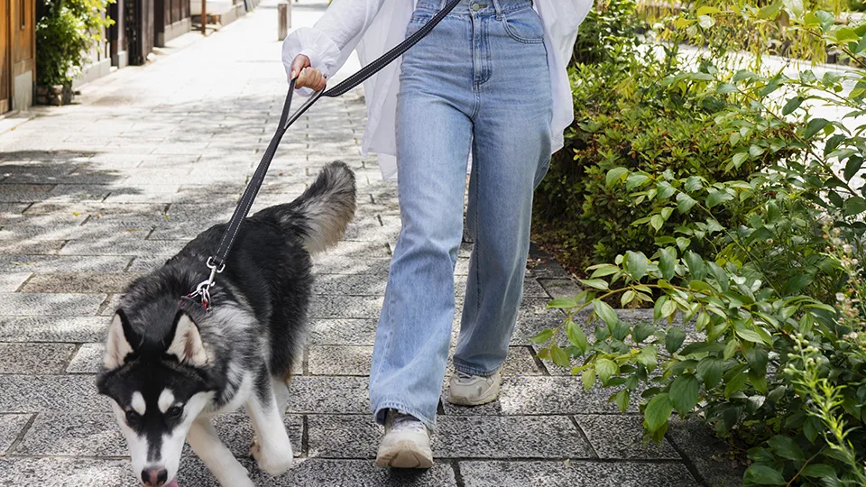 Фото: freepik.com