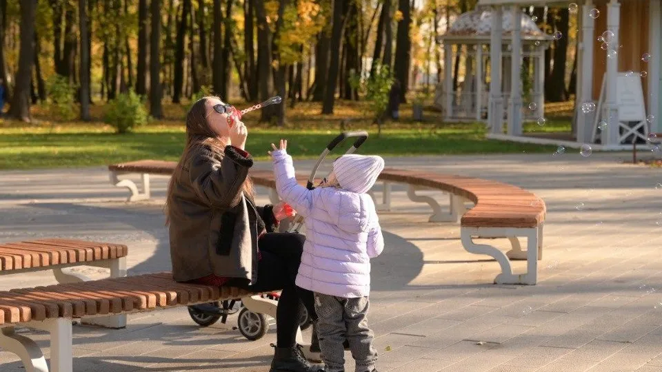 Фото: Министерство благоустройства Московской области