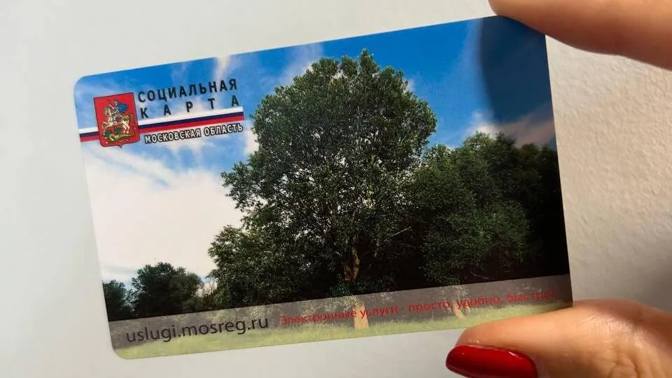 Фото: Министерство социального развития МО