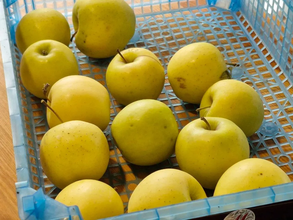 Фото: REGIONS/Наталия Надточая