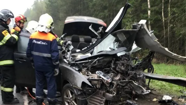 Фото: t.me/serpukhov_serpuhov