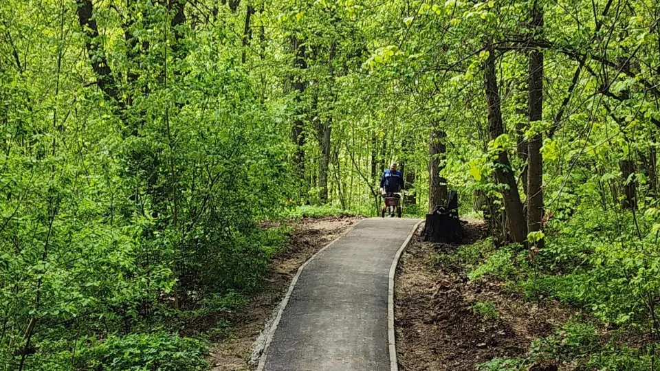 Фото: Хавива Фонина