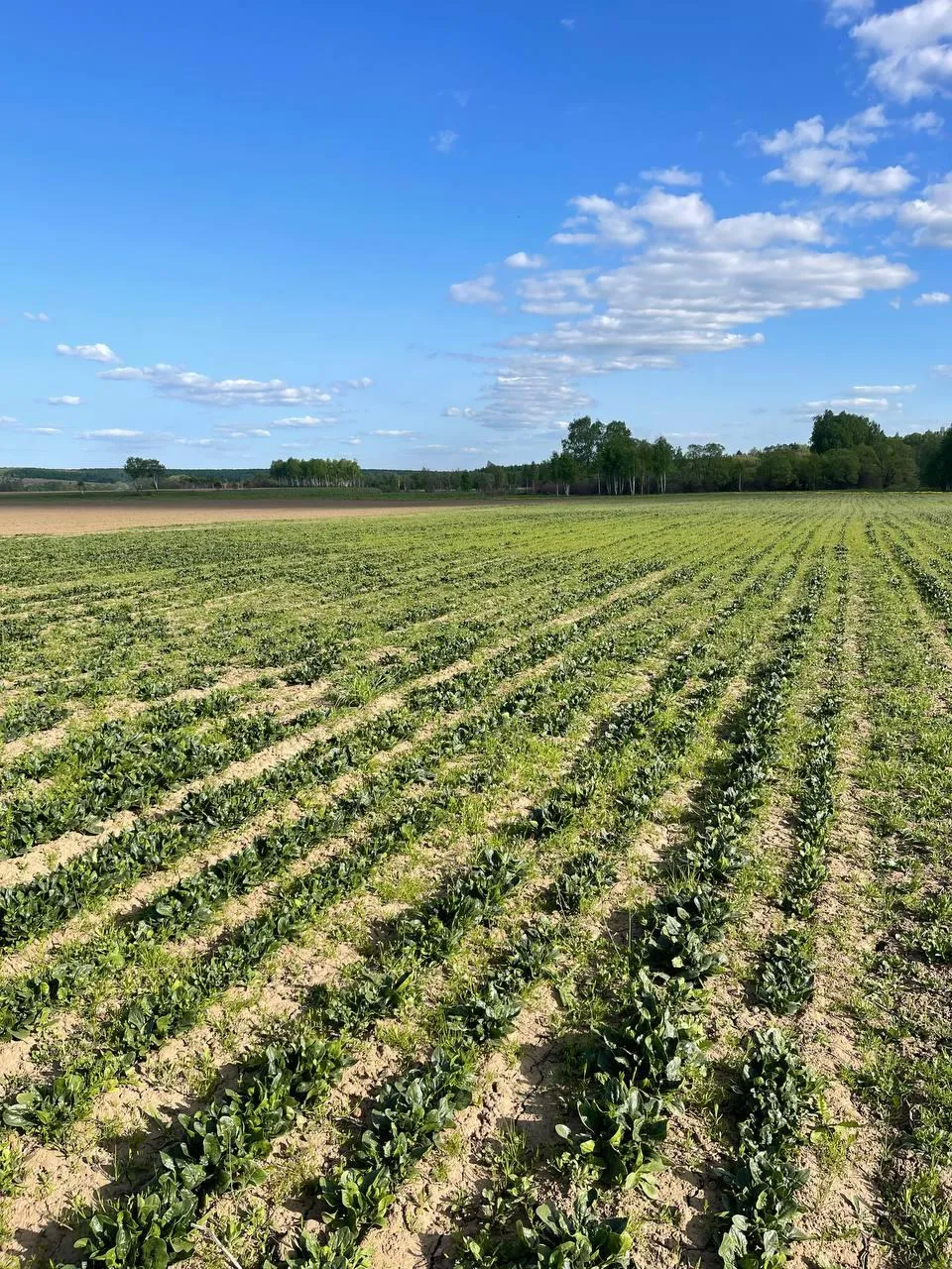 Фото: Андрей Семибратов