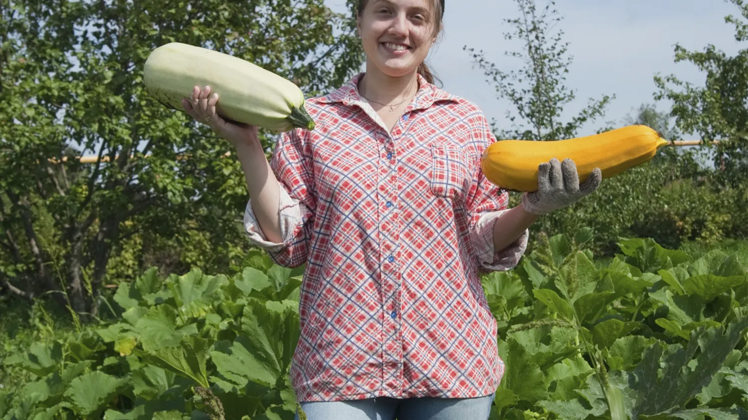 Фото: freepik.com