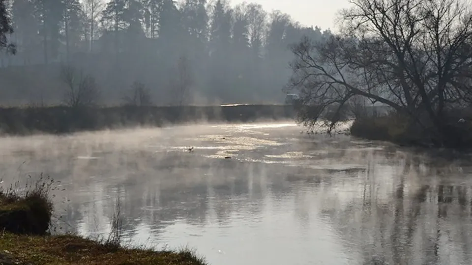 Фото: Министерство экологии и природопользования Московской области