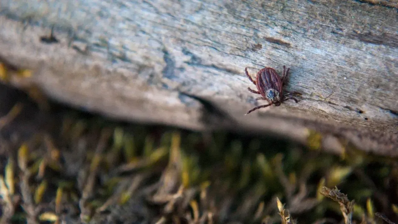 istockphoto.com/cotuvokne