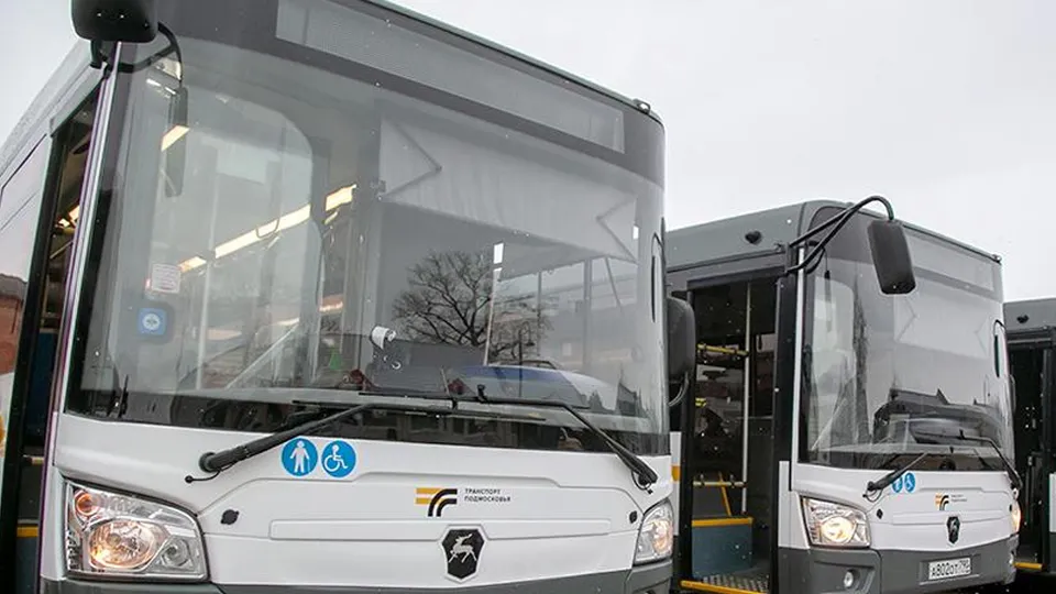 Фото: пресс-служба правительства Московской области