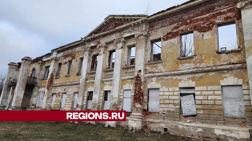 Фото: REGIONS/Наталья Дорошева