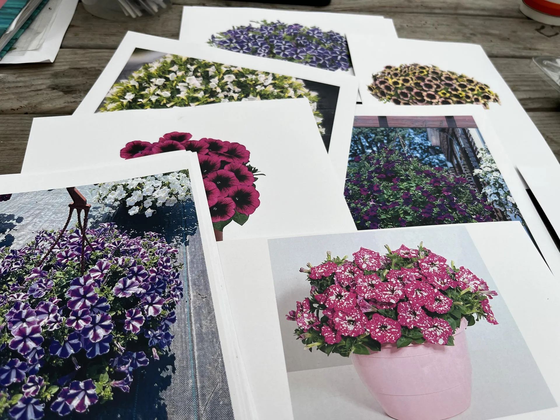 Фото: Анна Тюрюмина