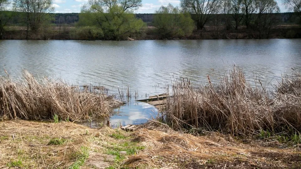 Фото: пресс-служба администрации г.о. Коломна