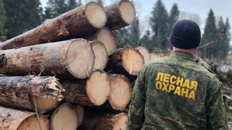 Фото: МедиаБанк Подмосковья/Валентина Максимова