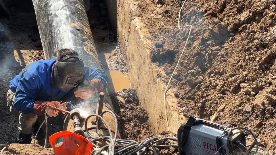 Фото: МедиаБанк Подмосковья/Валерия Ерофеева