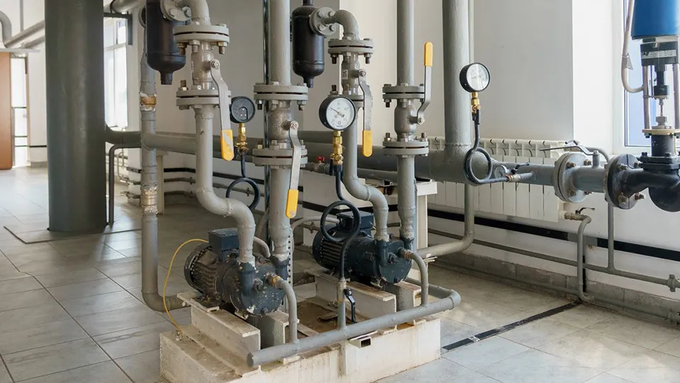 Фото: медиасток.рф