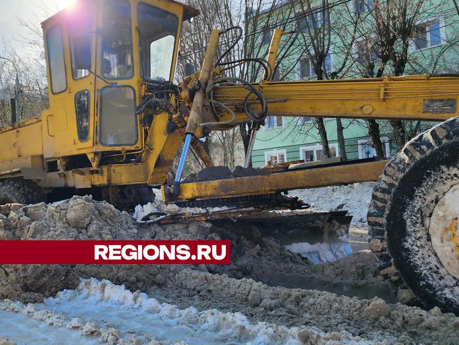 Фото: Валерия Тингаева