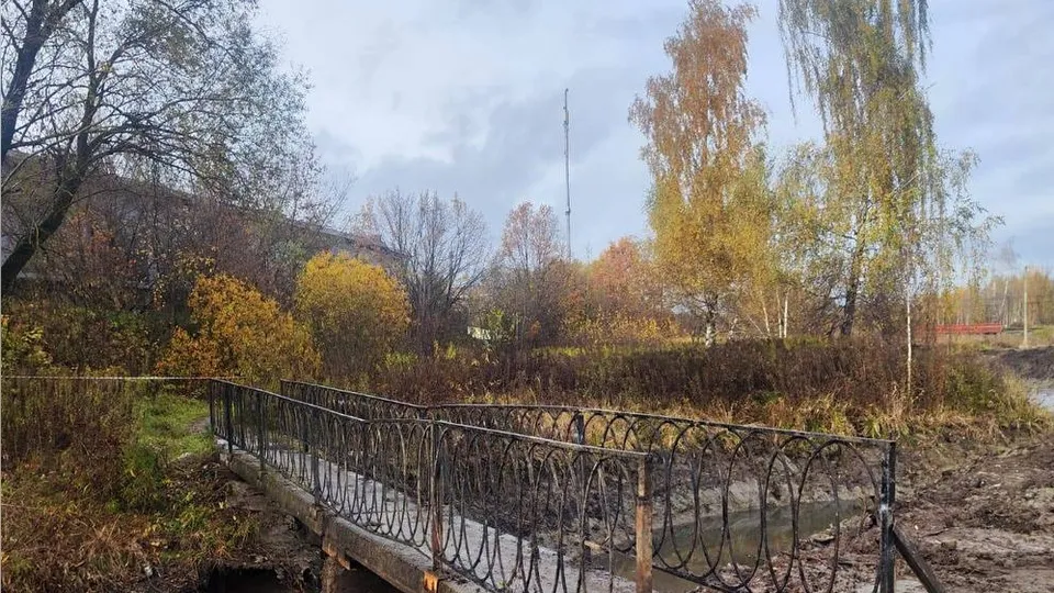 Фото: пресс-служба администрации г.о. Домодедово