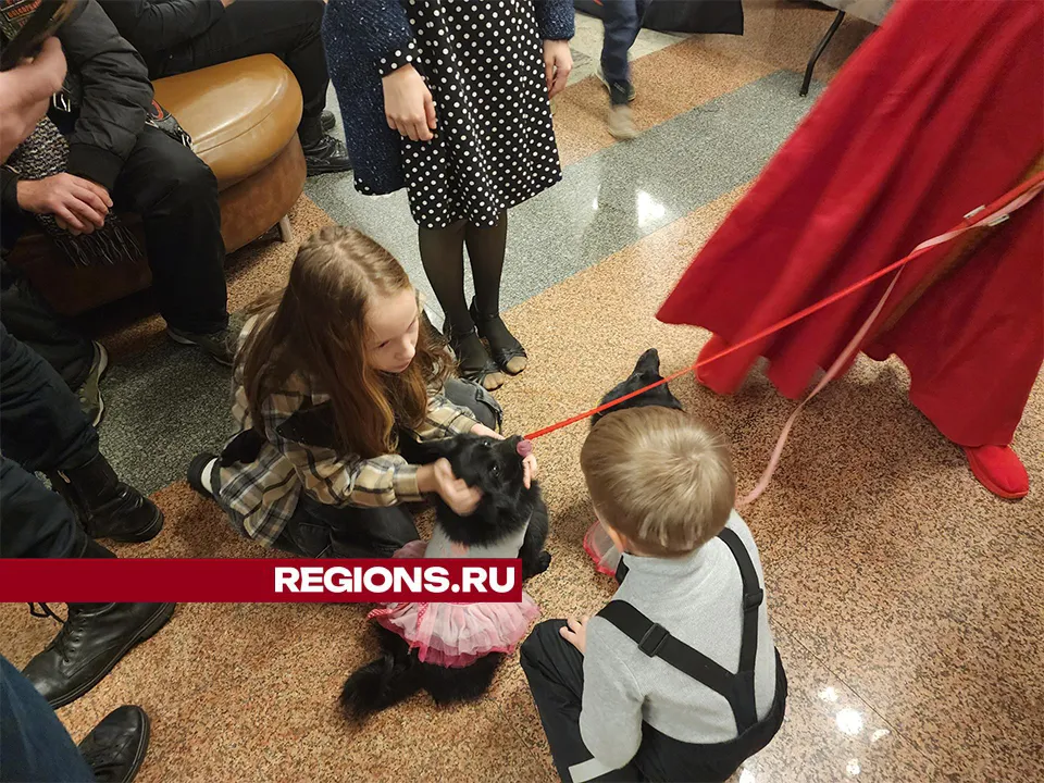 Фото: Михаил Раскин