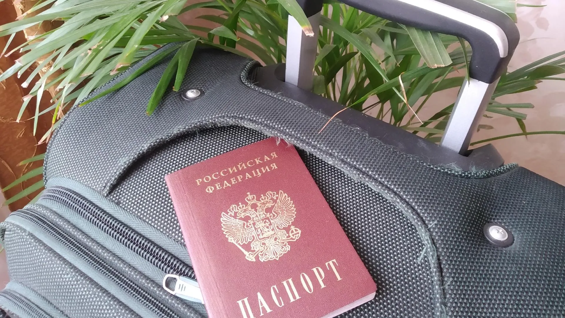 Фото: Татьяна Синельникова