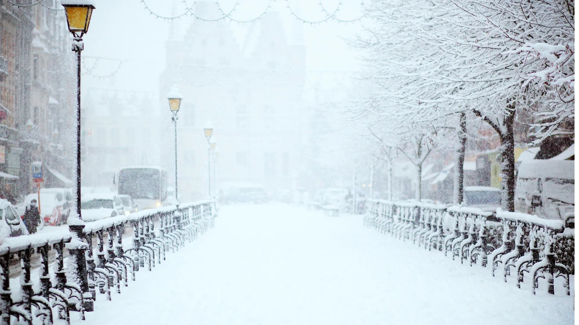 Источник: pxhere.com