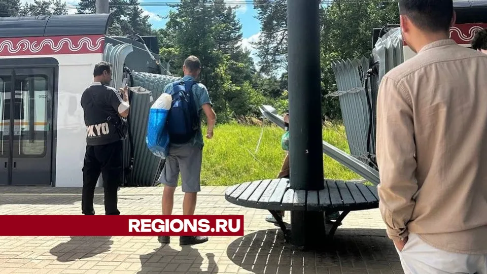 Фото: соцсети