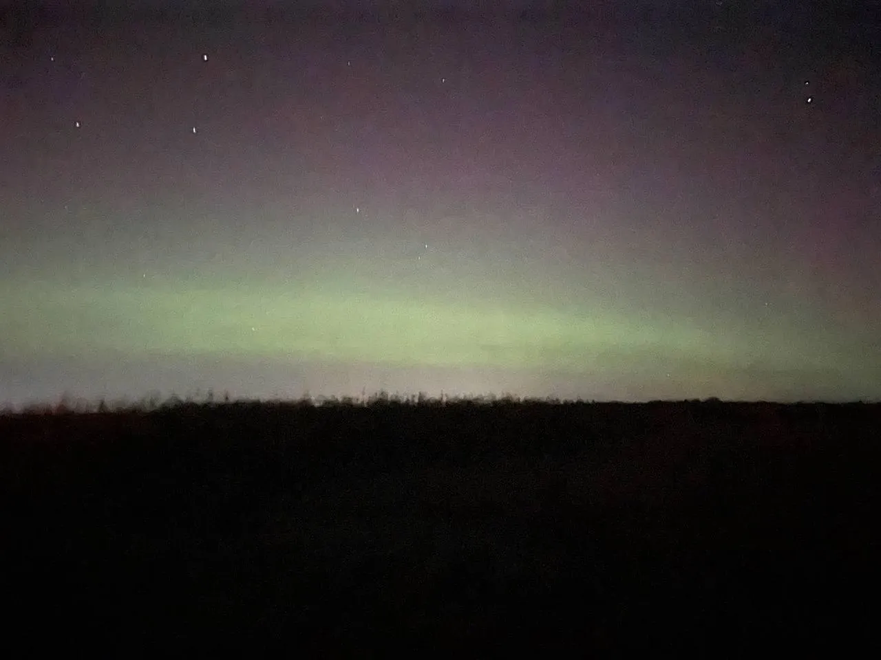 Дарья Леонова