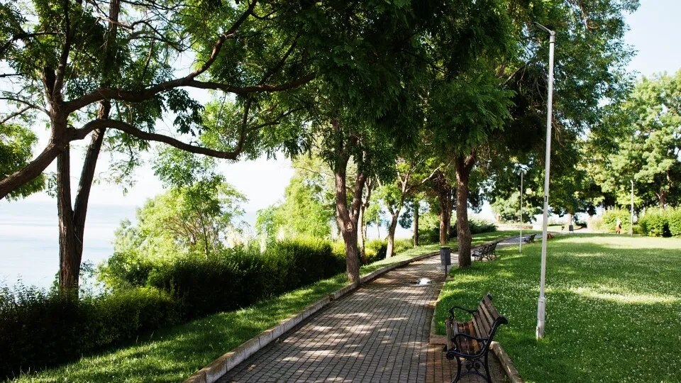 Фото: freepik.com