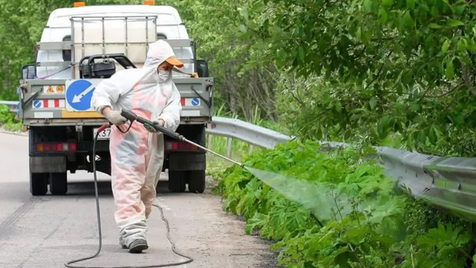 Фото: Министерство транспорта и дорожной инфраструктуры Московской области