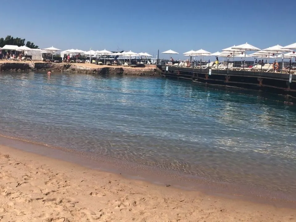 Фото: пресс-служба ГБУЗ МО «ПОКБ»