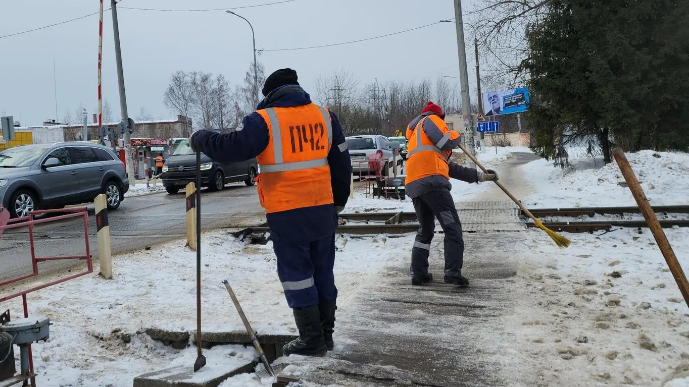 Фото: Нина Басистая