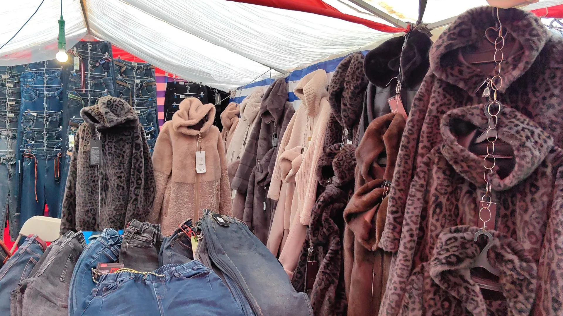 МедиаБанк Подмосковья/Елена Катасонова