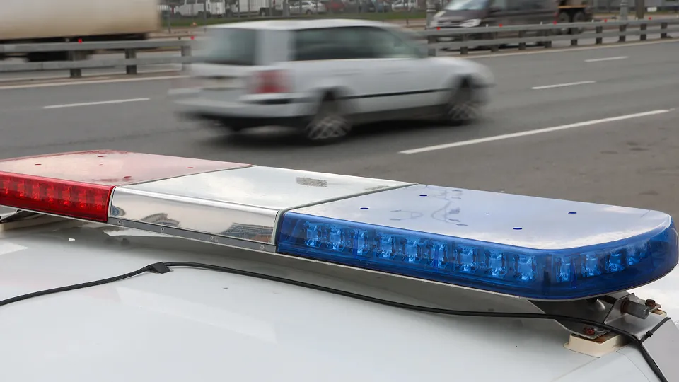 Фото: ТАСС/NEWS.ru/Сергей Петров