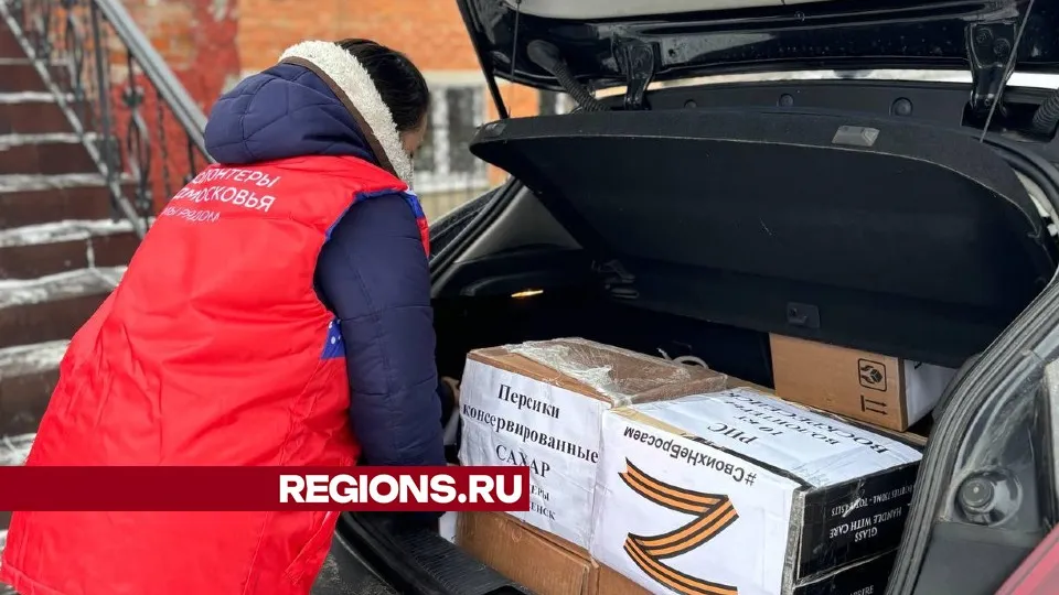 Фото: Светлана Плотникова