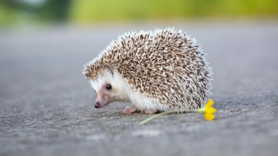 Фото: freepik.com