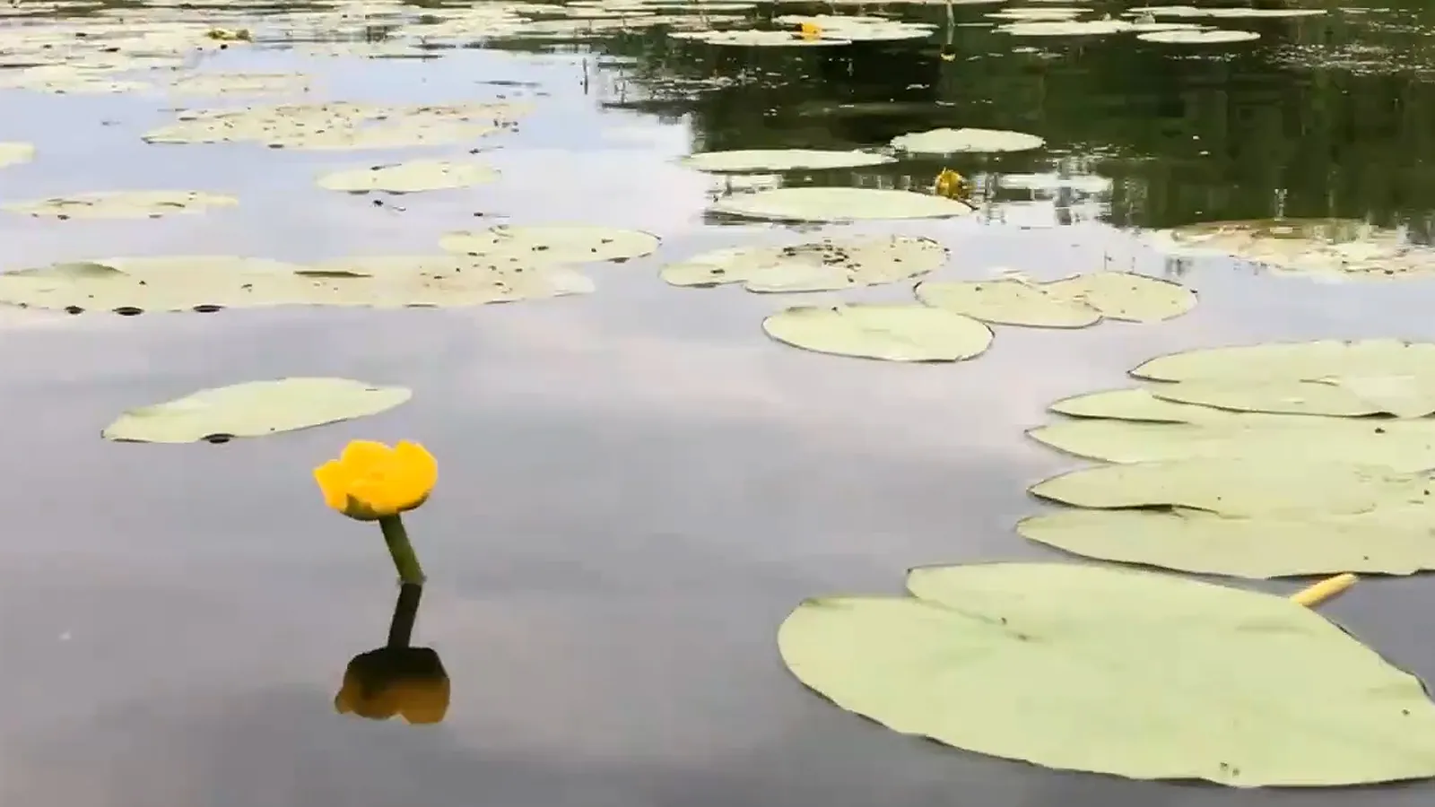 Фото: Екатерина Елисеева