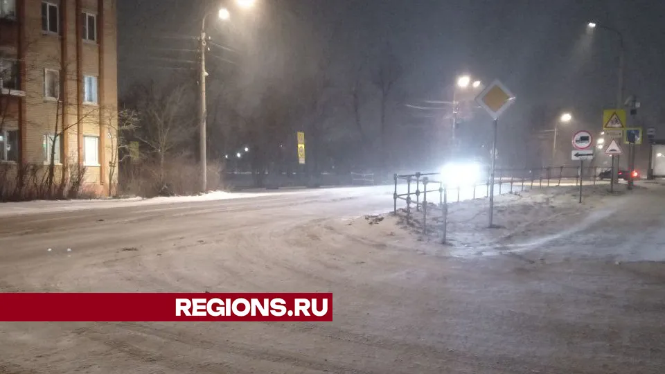 Фото: REGIONS/Василий Тремасов