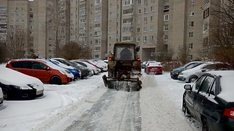Фото: пресс-служба администрации г. о. Черноголовка