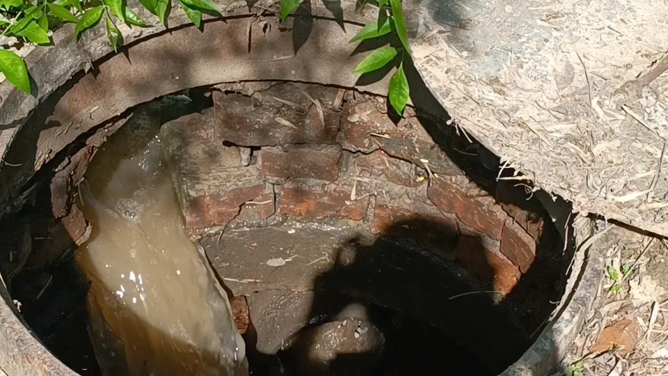 Фото: МедиаБанк Подмосковья/Екатерина Дятловская