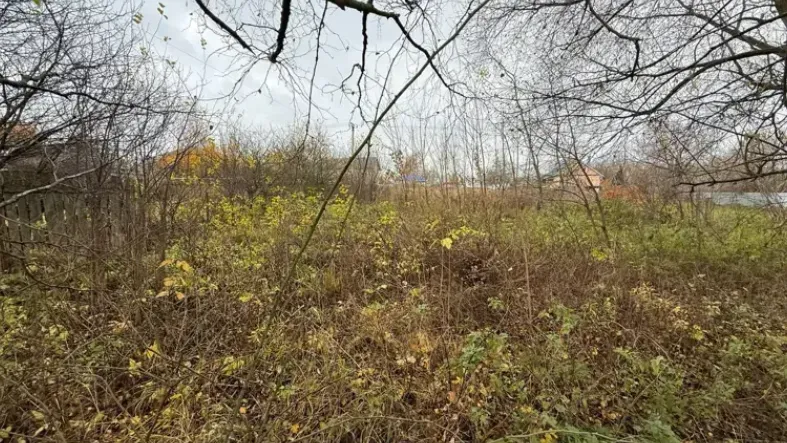 Фото: Единый портал торгов Московской области ЕАСУЗ