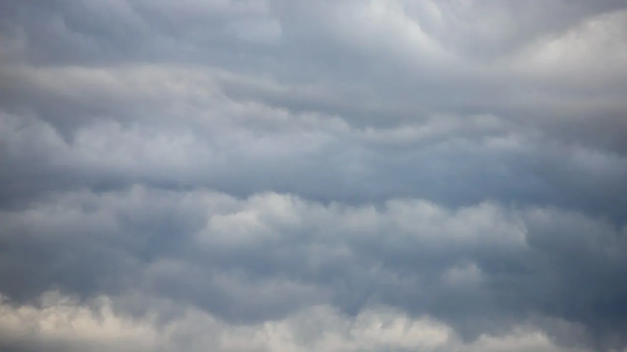 Фото: пресс-служба администрации г.о. Кашира