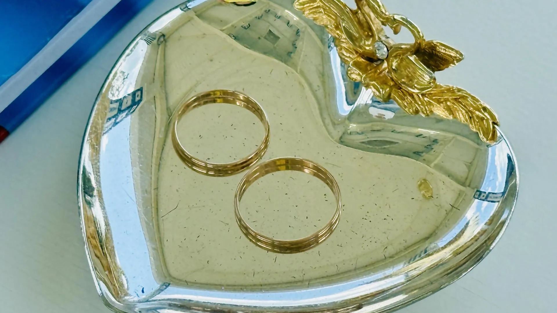 МедиаБанк Подмосковья/Ольга Стаферова