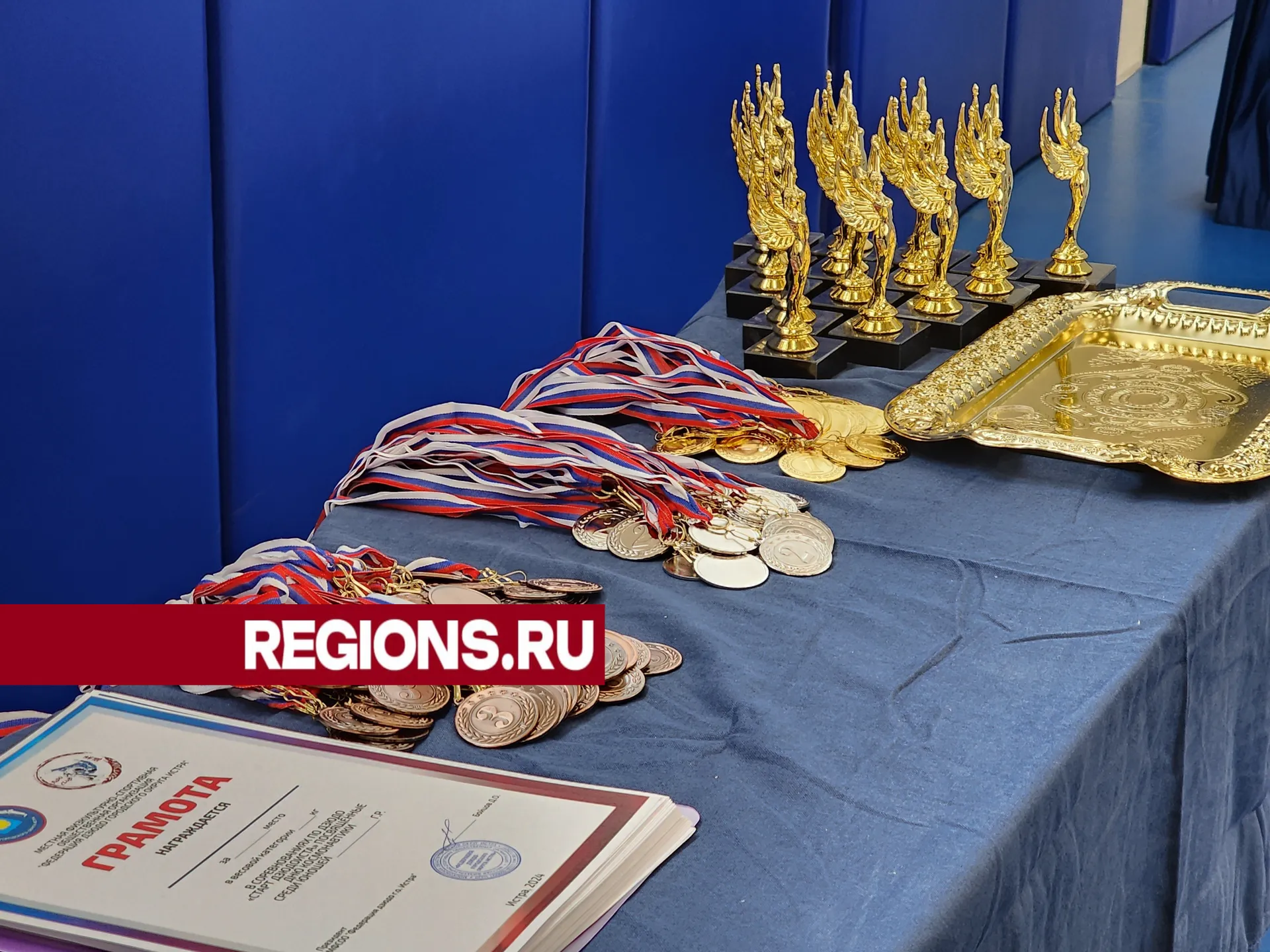 Фото: Светлана Борщева