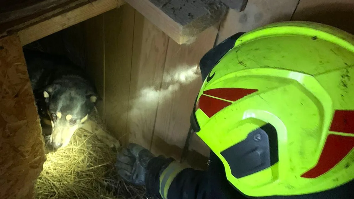 ГКУ МО "Мособлпожспас"