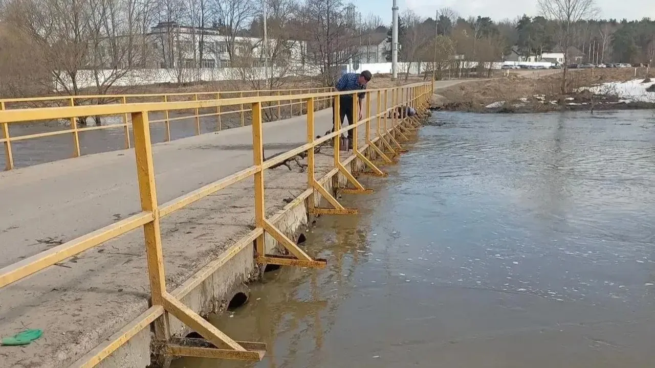 пресс-службы администрации г.о. Домодедово