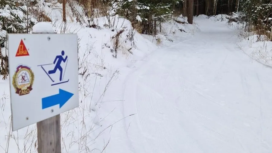 Фото https://vk.com/sokgabo