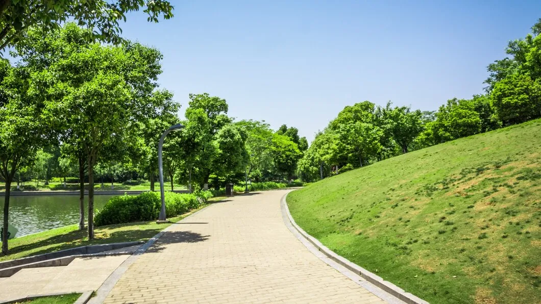 Фото: freepik.com