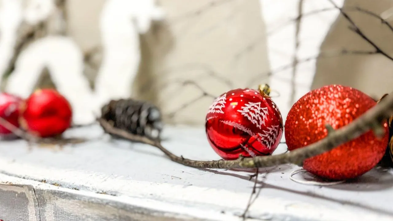 Фото: администрация г.о. Красногорск