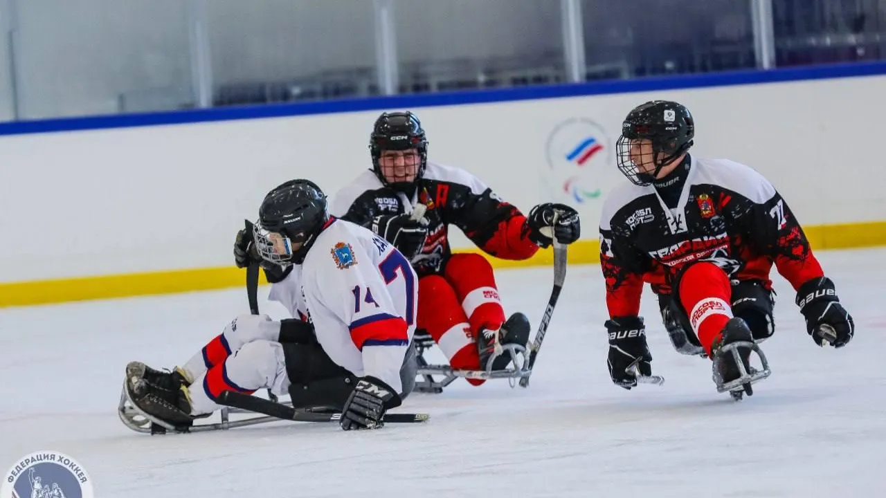 Фото: пресс-служба администрации г.о. Балашиха