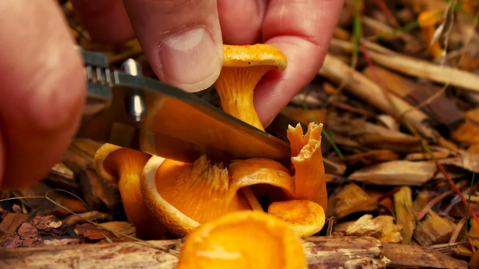 Фото: unsplash.com