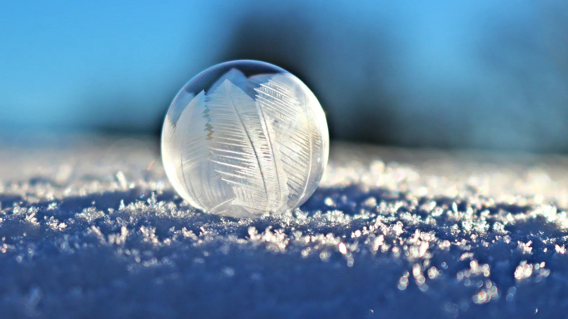 Фото: pxhere.com.